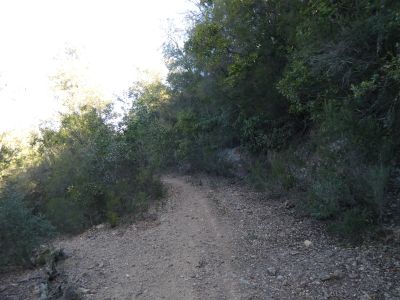 Croisement descente Picant