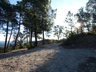 Croisement piste Vilers 6