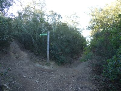 Croisement montée Montigalar