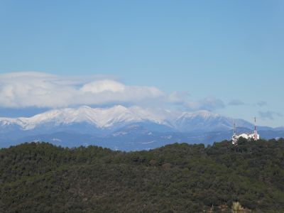 Vue Canigou