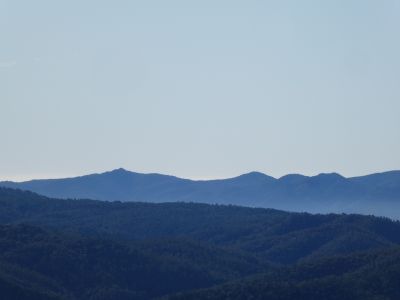 Vue Cols