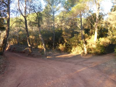 Croisement piste Vilers 2