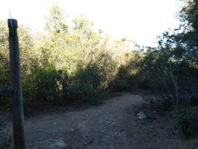 Croisement montée Montigalar 2