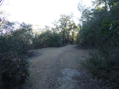 Croisement sentier Montigalar 2