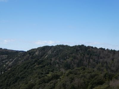 Vue Queredes