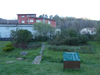 Vue jardin plantes