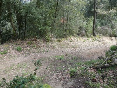 Croisement après Roure