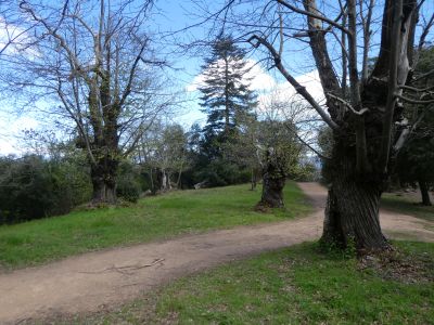 Croisement après Roure 2