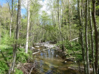Vue Riera Major