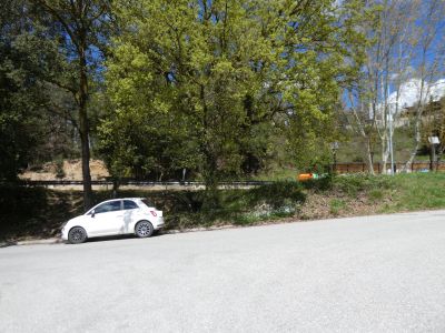 Croisement après Vegetals