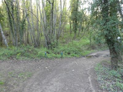 Croisement après Molins