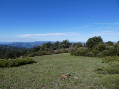 Descente Planes