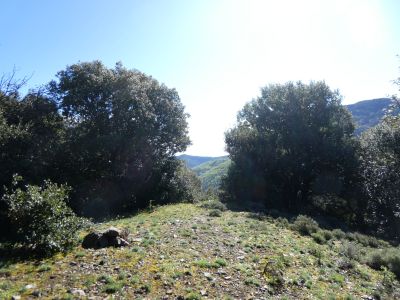 Turó Dalles