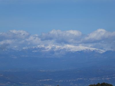Vue Tosa Alp