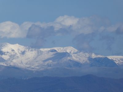 Vue Dona