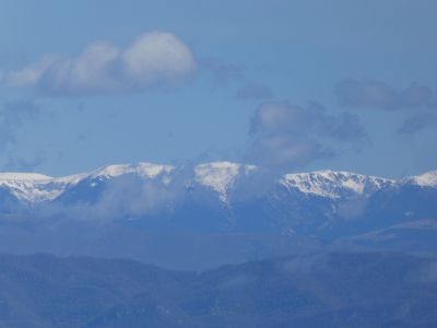 Vue Llosa