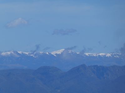 Vue Collada Verda