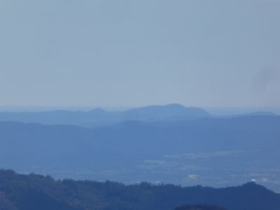 Vue Ric