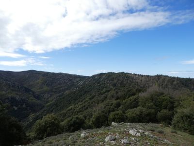 Vue Matagalls 2