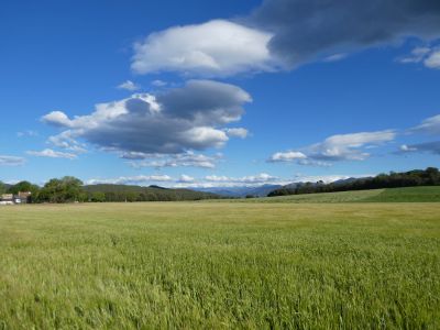 Vue Garrotxa