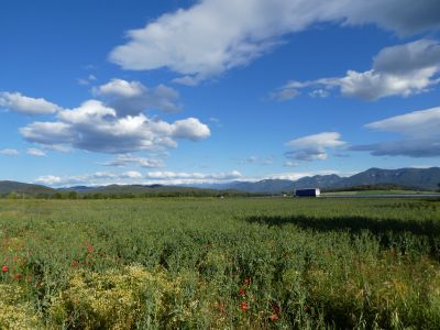 Vue Garrotxa 2