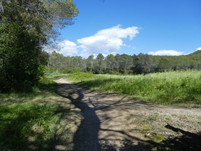Croisement Morgat 3
