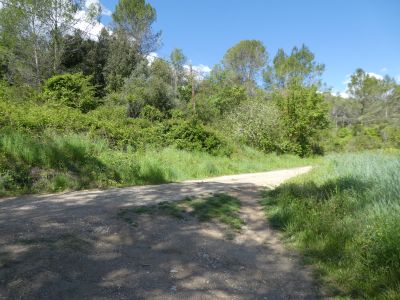 Croisement Morgat 4