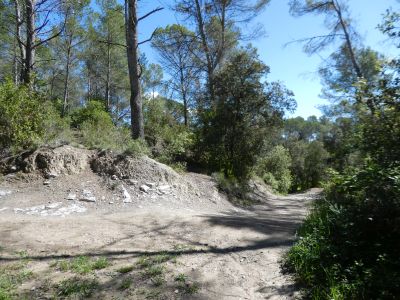 Croisement Morgat 5