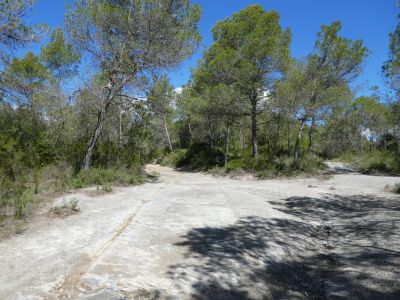 Croisement Morgat 6