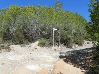 Croisement Morgat 7