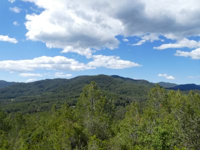 Vue Patllari