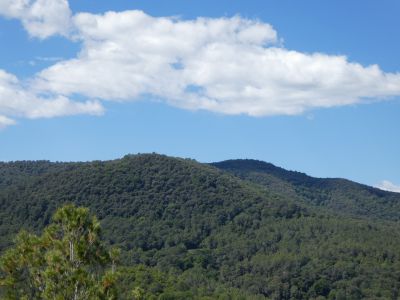 Vue Patllari 2