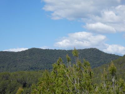 Vue Ginestar