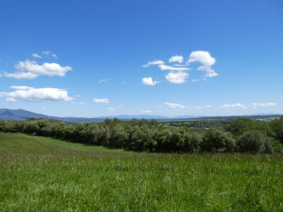Vue Albères 2