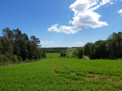 Vue Pla Caselles