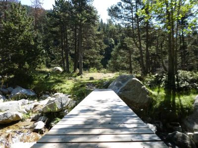 Pont Orri / Ter