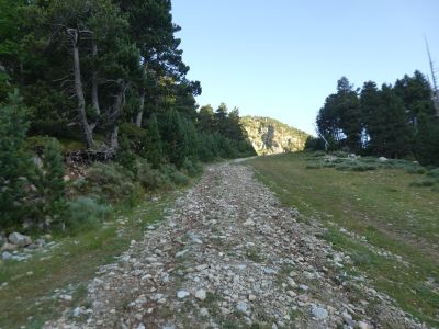 Vue piste Carlins