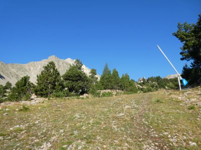Croisement montée Petit