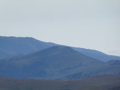 Vue Collada Verda