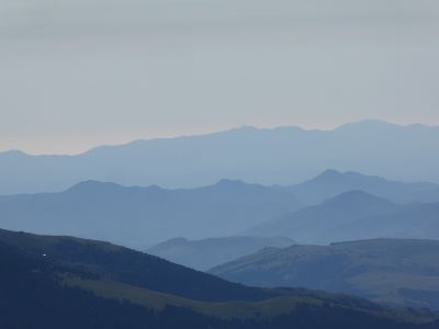 Vue Falcó