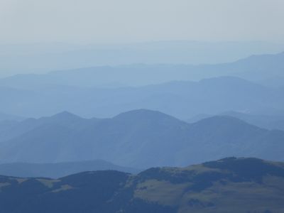 Vue Talló