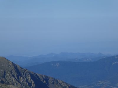 Vue Pilosa