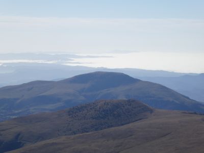 Vue Taga