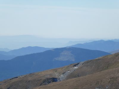 Vue Covil