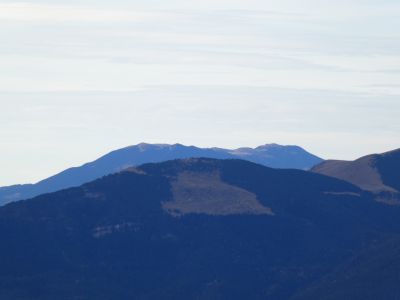 Vue Gallina Pelada