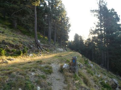 Croisement piste Balmeta