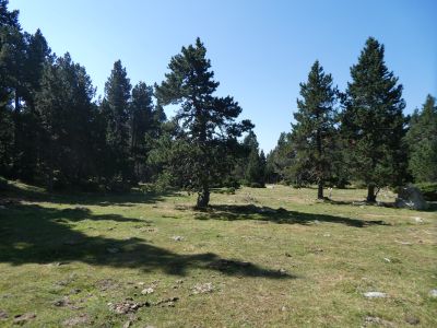 Vue Pla Concròs