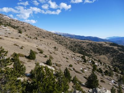 Descente Mercer