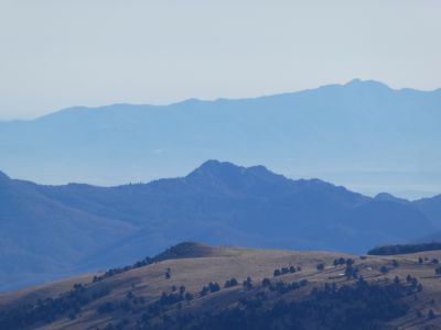Vue Falcó