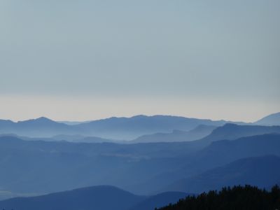 Vue Faig Verd